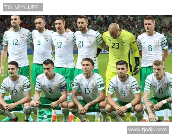 冰岛与匈牙利精彩对决完整视频回顾及赛后分析