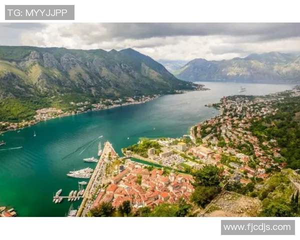 黑山与俄罗斯激战全场精彩回顾与赛后分析